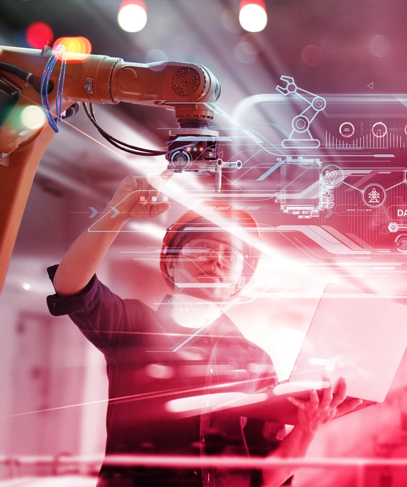 Professional team - Premium Machinery